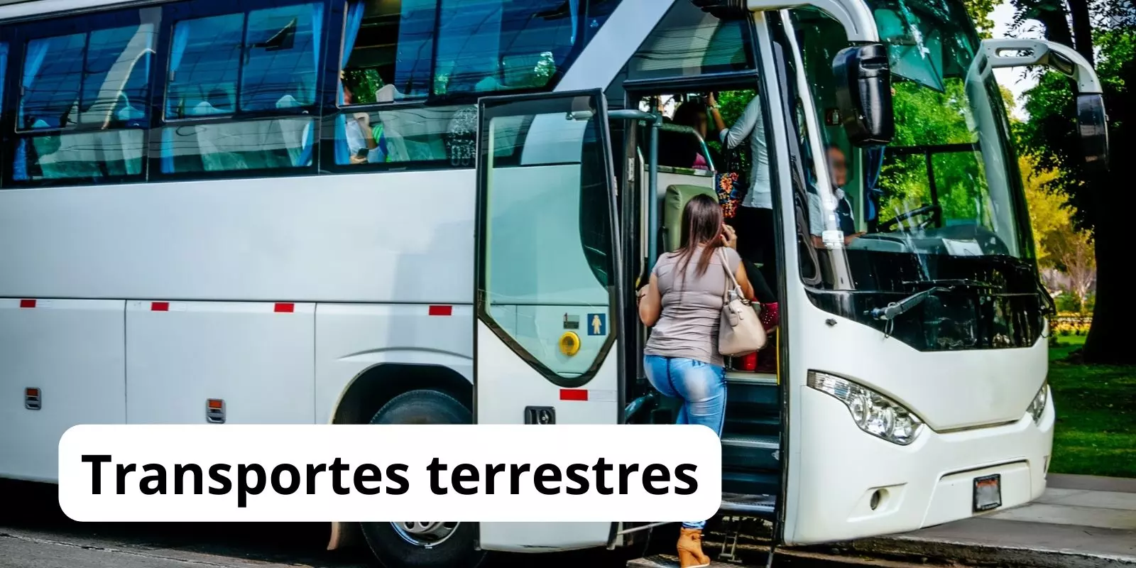 transportes terrestres